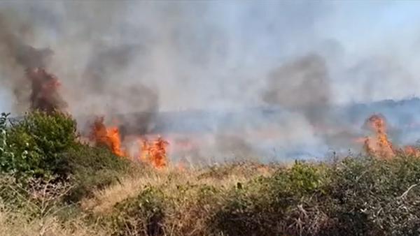 Incendii de vegetaţie în Mehedinţi. Flăcările au mistuit două hectare de teren