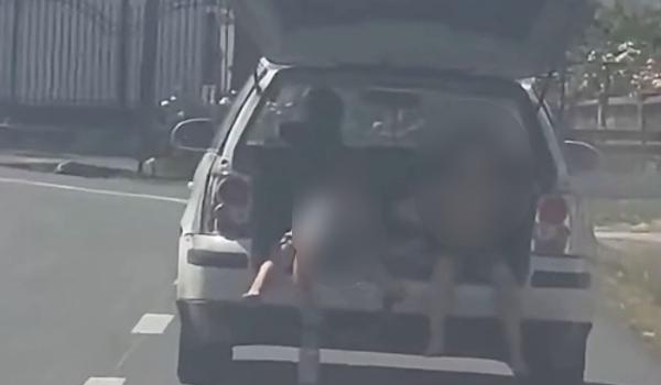 Gorjean, filmat în timp ce transporta doi copii în portbagajul maşinii cu capota ridicată. Ce amendă a primit