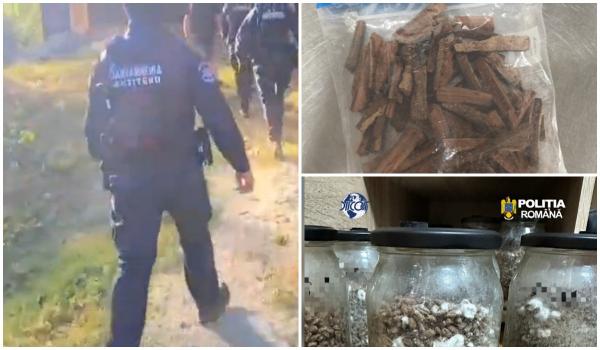O româncă şi doi străini făceau "ritualuri şamanice" în Hunedoara, cu ayahuasca