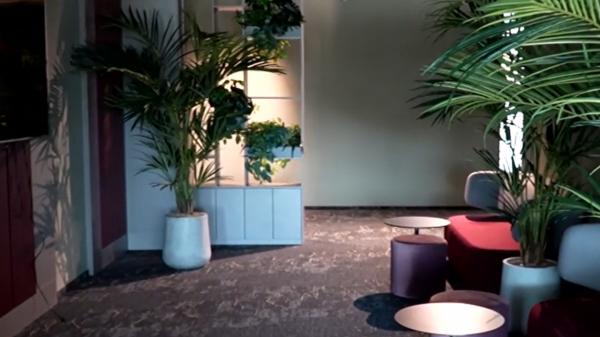 Confortul la locul de muncă, prioritatea companiilor. Ce beneficii le sunt oferite angajaţilor la birou