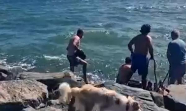 "Las-o puţin să se calmeze, e în stare de şoc". Turistă din Eforie, salvată de la înec cu o funie