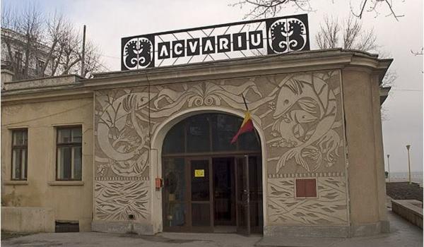 Acvariul din Constanţa a rămas o amintire. Peştii au fost mutaţi la Delfinariu. Când va fi gata noul spaţiu