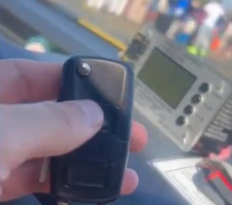 "Maimuţe", găsite de poliţişti pe taxiurile de la Otopeni. Unul dintre şoferi avea în maşină şi "legale"
