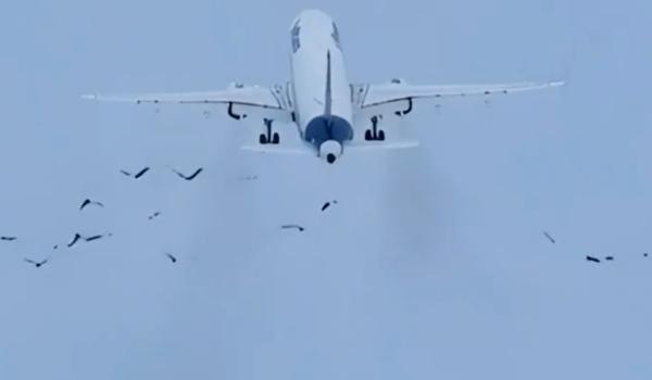 A fost alertă pe aeroportul Otopeni. Un avion cu peste 200 de pasageri ar fi lovit un stol de păsări