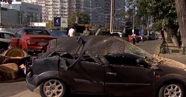 Ce spune Primăria despre copacul căzut peste 4 mașini în Capitală. Proprietarii vor fi despăgubiți