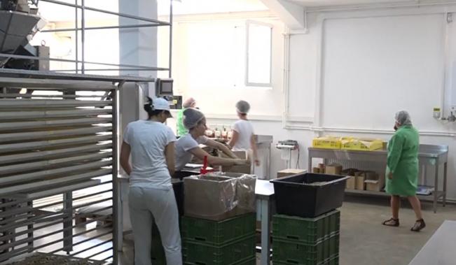 Răsturnare de situaţie pe piaţa muncii. Companiile care nu găseau oameni au acum zeci candidaţi pe un job