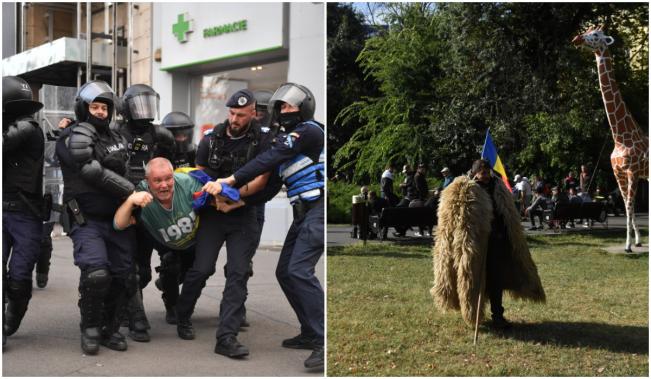 Protestul oierilor, "parazitat" de "suveranişti". Fermierii s-au retras la umbră, instigatorii au distrus tot