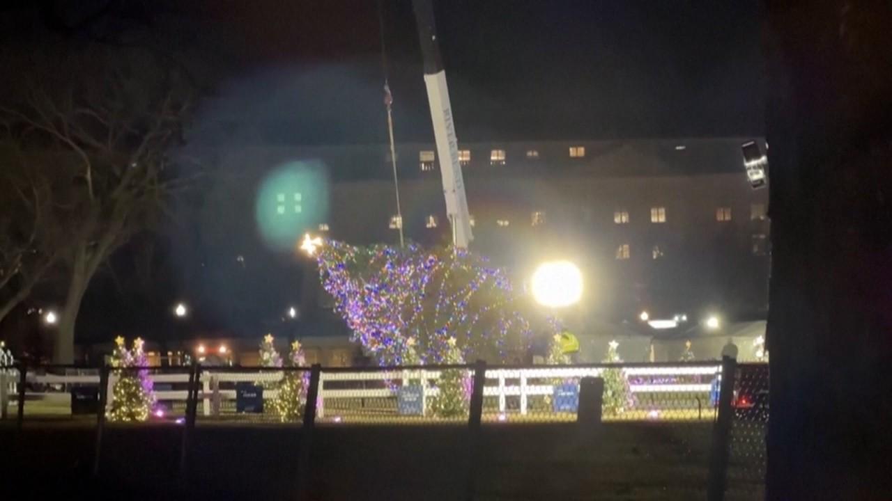 L’albero della Casa Bianca, a terra.  L’albero di Natale addobbato è stato abbattuto da una forte folata di vento