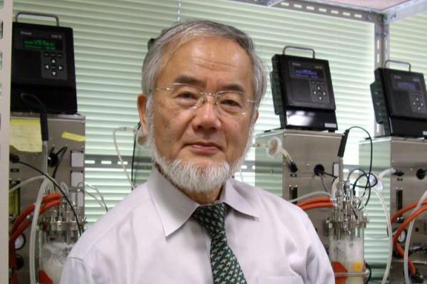 NOBEL 2016: Cercetătorul japonez Yoshinori Ohsumi a câştigat premiul Nobel pentru medicină