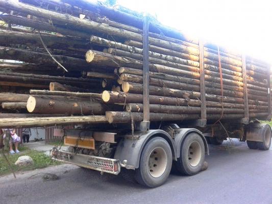 Dosar penal pentru că a oprit un transport ilegal de lemne. Sătenii, furioşi că sunt obligaţi să-şi taie pomii, în timp ce alţii fură liniştiţi