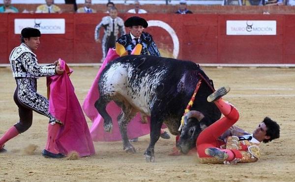 SFÂŞIETOR! Un celebru matador a murit, în direct la TV, împuns de taur. Soţia acestuia, martoră la tragicul eveniment