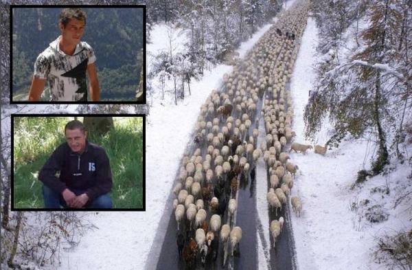 Presa din Italia dezvăluie de ce au fost ucişi cei doi tineri ciobani români, în Chivasso. Adevăratul motiv al asasinatului este îngrijorător (Video)