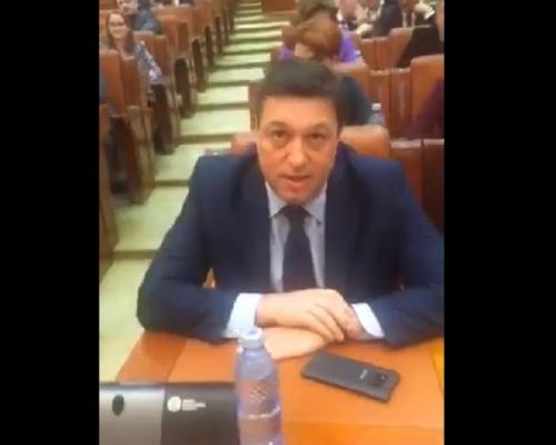 Dialog halucinant în plenul Camerei Deputaților între senatorul PSD Şerban Nicolae și deputatul USR Cosette Chichirău: "Penală este mama care v-a făcut așa nesimțită" (Video)