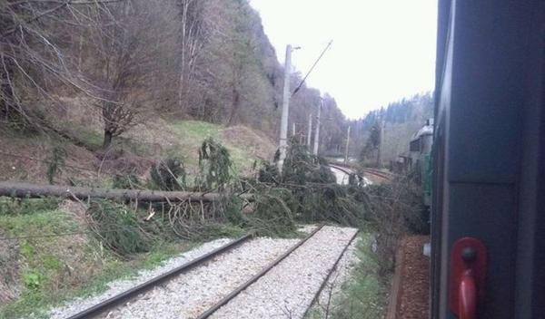 Traficul feroviar între Predeal şi Braşov, întrerupt PESTE CINCI ORE din cauza unui copac căzut