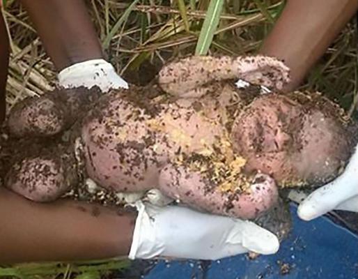Imagini CUTREMURĂTOARE! Un copil nou-născut, ÎNGROPAT DE VIU chiar de mama lui, a fost scos în viaţă din pământ, la trei zile după cumplita faptă
