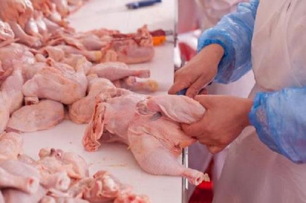 ALERTĂ în Europa! Carne de pui contaminată cu salmonella, exportată din România în Austria