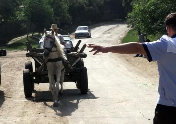 Un căruţaş de 75 de ani din Darabani a dat bice cailor, când a văzut că vine poliţia