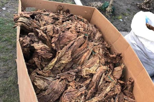 Tutun de contrabandă, confiscat în Olt
