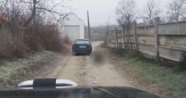 Cățel legat de o mașină și târât prin sat, în Alba. Proprietarul s-a ales cu dosar penal