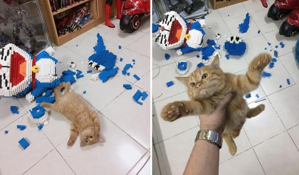 Pisica lângă figurina Lego pe care a distrus-o