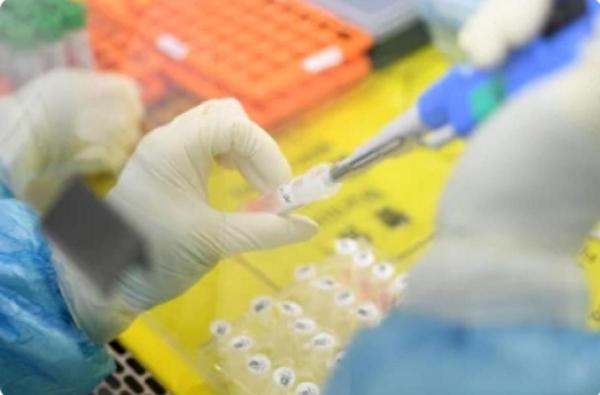 Cercetătorii de la Universitatea din Utrecht, aproape de a dezvolta un medicament anticoronavirus