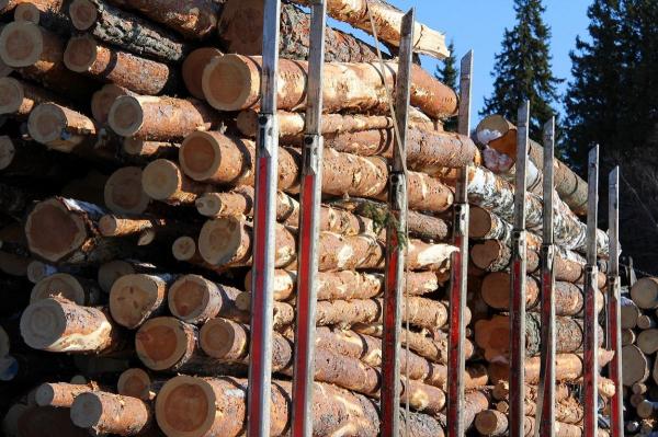 Un poliţist onest din Cluj a refuzat de trei ori mită un camion cu lemne de la un pădurar, apoi l-a denunţat