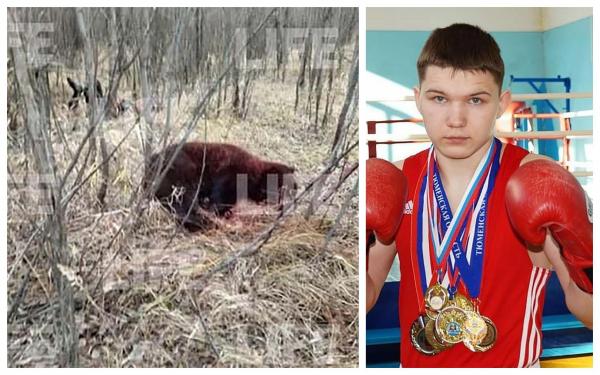 Un boxer de 23 de ani, în stare gravă după ce s-a luptat cu un urs care i-a ucis prietenul, în Rusia