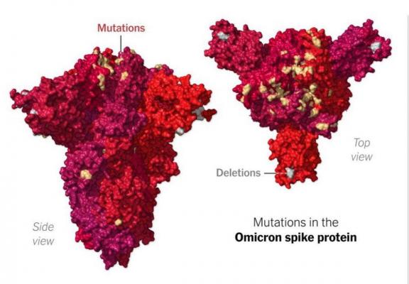 Mutaţiile suferite în proteina spike Omicron