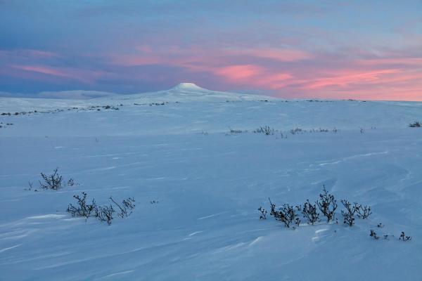 Peisaj arctic de iarnă, la apus. Tundra este acoperită de zăpadă, iar zona este inaccesibilă oamenilor.