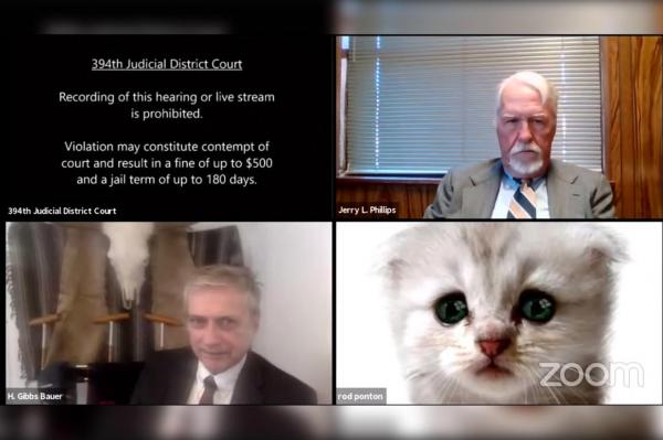 Un avocat din Texas s-a transformat într-o pisică într-o videoconferință cu un judecător, din cauza unui filtru pe Zoom: "Sunt aici live. Nu sunt pisică"