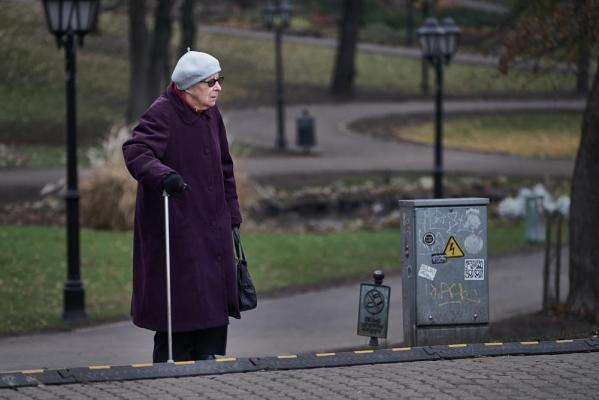 O bunicuţă din Suceava a ajuns infractoare la 74 de ani. A fost reţinută pentru 24 de ore