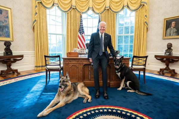 Câinii lui Joe Biden au fost alungați de la Casa Albă, după un incident "agresiv"