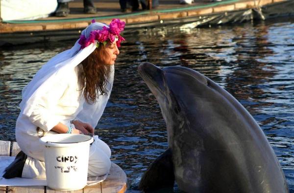 Femeie cu inima frântă după moartea soțului ei delfin. Englezoaica spune că nu se va putea recăsători