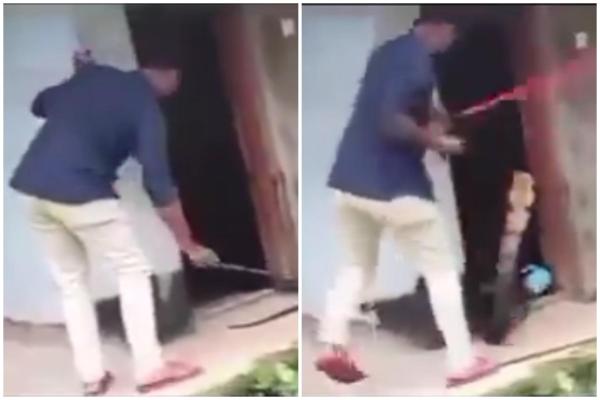 Bărbat filmat în timp ce încearcă să prindă un şarpe, în pragul casei