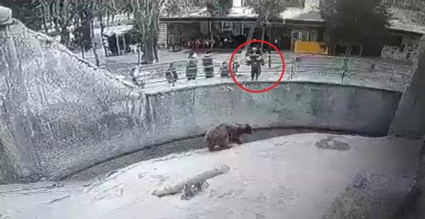 O mamă și-a aruncat fetița de 3 ani în adăpostul ursului, la o grădină zoologică uzbecă. Momentul a fost filmat de camere