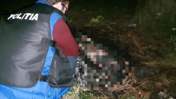 Un bărbat din Botoşani, reţinut de poliţie după ce şi-a ucis câinele, apoi i-a dat foc. Omul, nemulţumit că animalul era prea gălăgios