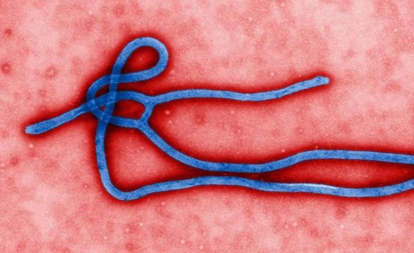 Ultimele opt cazuri de Ebola îngrijorează Organizația Mondială a Sănătății: "Ar putea exista mai multe lanțuri de transmitere"