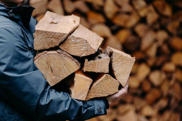 Guvernul plafonează la 400 de lei/mc prețul la lemnele de foc