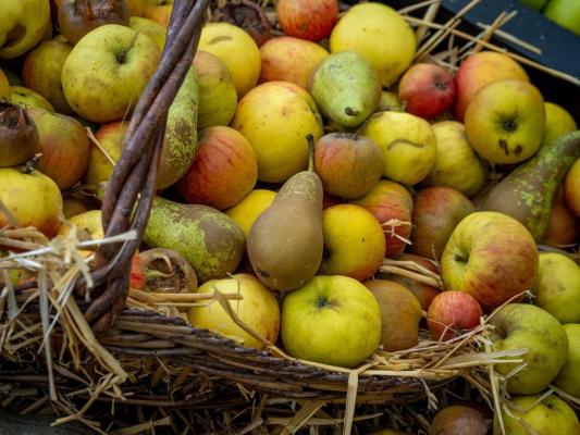 Doi inspectori de la ANAF Deva au amendat cu 30.000 de lei ţăranii care vindeau fructe pe marginea drumului. Şeful ANAF: "Nemernici. Mi-e ruşine că lucrează la noi"
