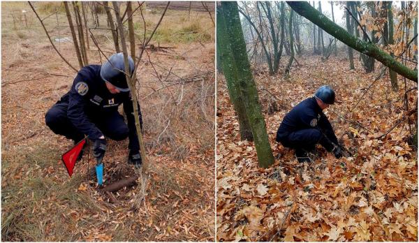 Trei proiectile explozive, găsite în pădurea Băneasa