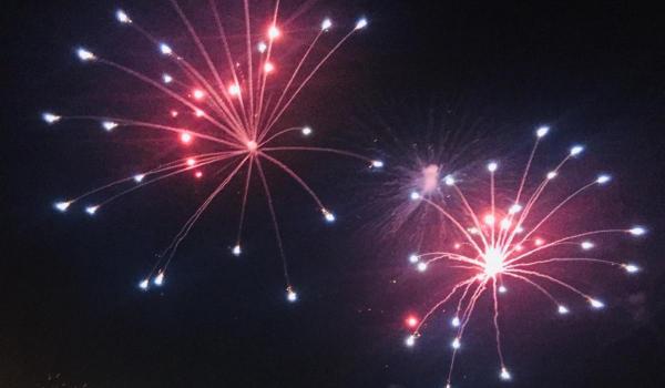 Cercetători din Cehia vor ca focurile de artificii să fie interzise