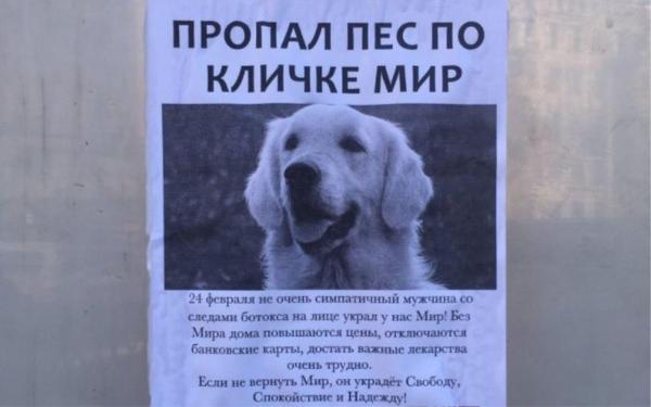 Afiș lipit la metroul din Sankt Petersburg: „Pierdut câine pe nume „Pace” pe 24 februarie. Un tip cu urme de botox pe față l-a luat”