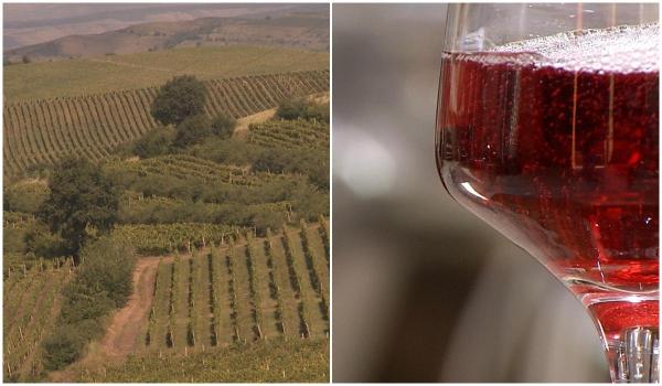 România produce vin mult și bun, dar nu știm să-l promovăm peste hotare. Sub 7% din vinul românesc este vândut în străinătate