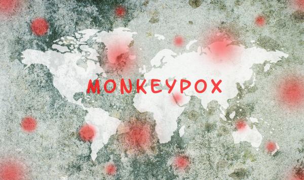 În ce ţări a ajuns variola maimuţei