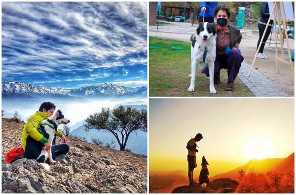 Câinele Sam şi stăpânul lui, Gonzalo Chiang, curăţă parcurile din Chile