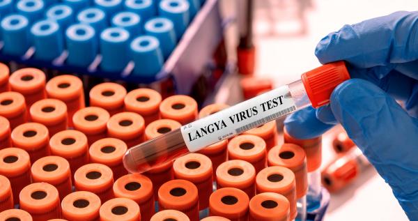 Ce este virusul Langya şi ce simptome are