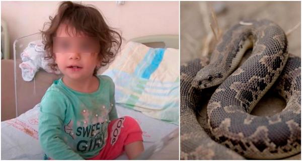 O copilă de 2 ani a ucis un șarpe care o atacase. Drept răzbunare că o mușcase de buză, fetița și-a înfipt dinții în reptilă, în grădina casei din Turcia
