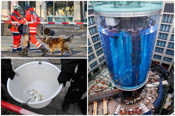 200 de peşti salvaţi, după explozia din Berlin