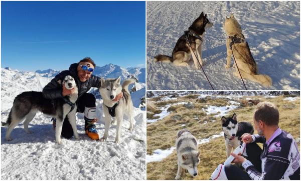 Cei doi câini husky pentru care un român din Italia și-a dat viața își caută casă nouă. Fiul bărbatului a primit deja zeci de telefoane