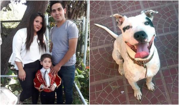 S-au înecat în fața fiului, încercând să salveze câinele. Micuțul din Argentia, în stare critică după ce a încercat să-i ajute